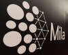 Signage is seen at MILA-Quebec Artificial Intelligence Institute in Montreal on Tuesday, Nov. 12, 2024. THE CANADIAN PRESS/Christinne Muschi