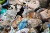 A worker sorts recyclable items in a pile of garbage at the Whole Earth Recycling in Johannesburg, South Africa, Tuesday, July 28, 2026. (AP Photo/Themba Hadebe)