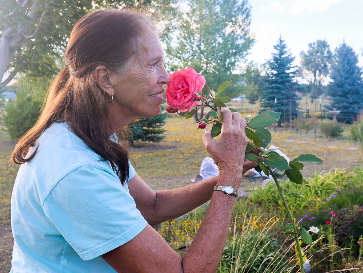 Free Flower Pick in Doney Park’s Butterfly Lane Garden
