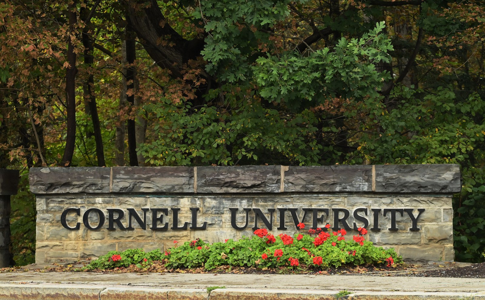 Cornell rape accuser told police she was 100% certain she was raped, transcript shows