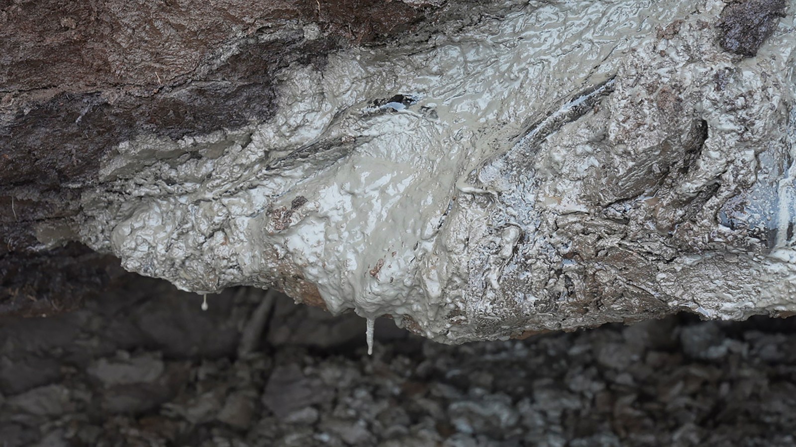 winnipegfreepress.com - Seth Borenstein, The Associated Press - Heat-trapping gas once frozen in Arctic ground is slowly leaking and warming the planet