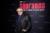 FILE - Vincent Pastore attends 