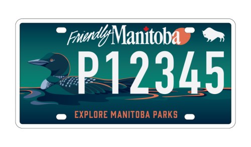 Loon design wins for next Manitoba specialty licence plate, province says