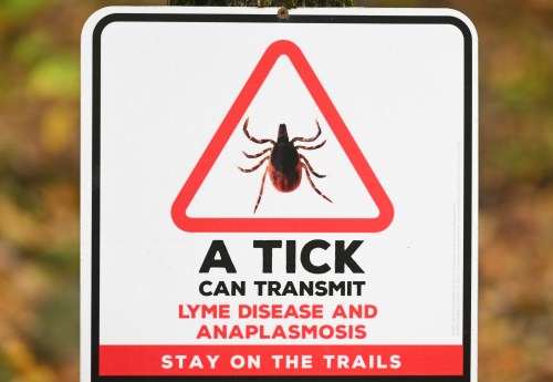 A sign advising hikers of ticks is shown on a trail in the woods in the Eastern Townships west of Montreal, Wednesday, Oct. 16, 2024. THE CANADIAN PRESS/Graham Hughes
