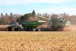 A farmer harvests a field of corn just north of Morris, Man., in early October. (Ruth Bonneville / Free Press)