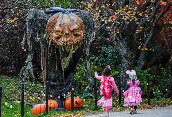 Children walk past a monster at Boo at the Zoo at Assiniboine Park on Sunday. Designed for younger children who like their Halloween festivities spooky but not scary, Boo at the Zoo runs until October 31. See our photo gallery. (John Woods / Free Press)