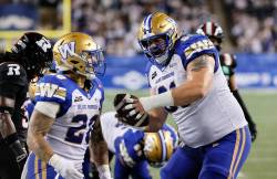 John Woods / THE CANADIAN PRESS FILES
                                Winnipeg Blue Bombers guard Gabe Wallace watches about five movies per week during his downtime, with Heat and Dracula among his favouries.