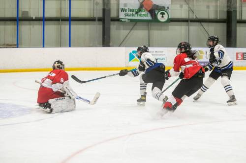 BROOK JONES / FREE PRESS FILES
                                Six programs in the Manitoba Women&rsquo;s High School Hockey League folded before the start of the 2026-27 season once the Hockey Manitoba U18 AAA ban took effect.