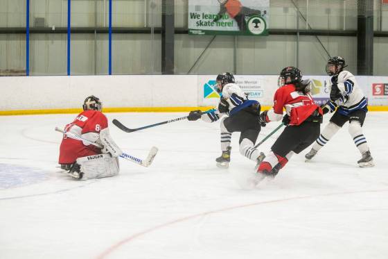 Six programs in the Manitoba Women’s High School Hockey League folded before the start of the 2026-27 season once the Hockey Manitoba U18 AAA ban took effect. (Brook Jones / Free Press files)