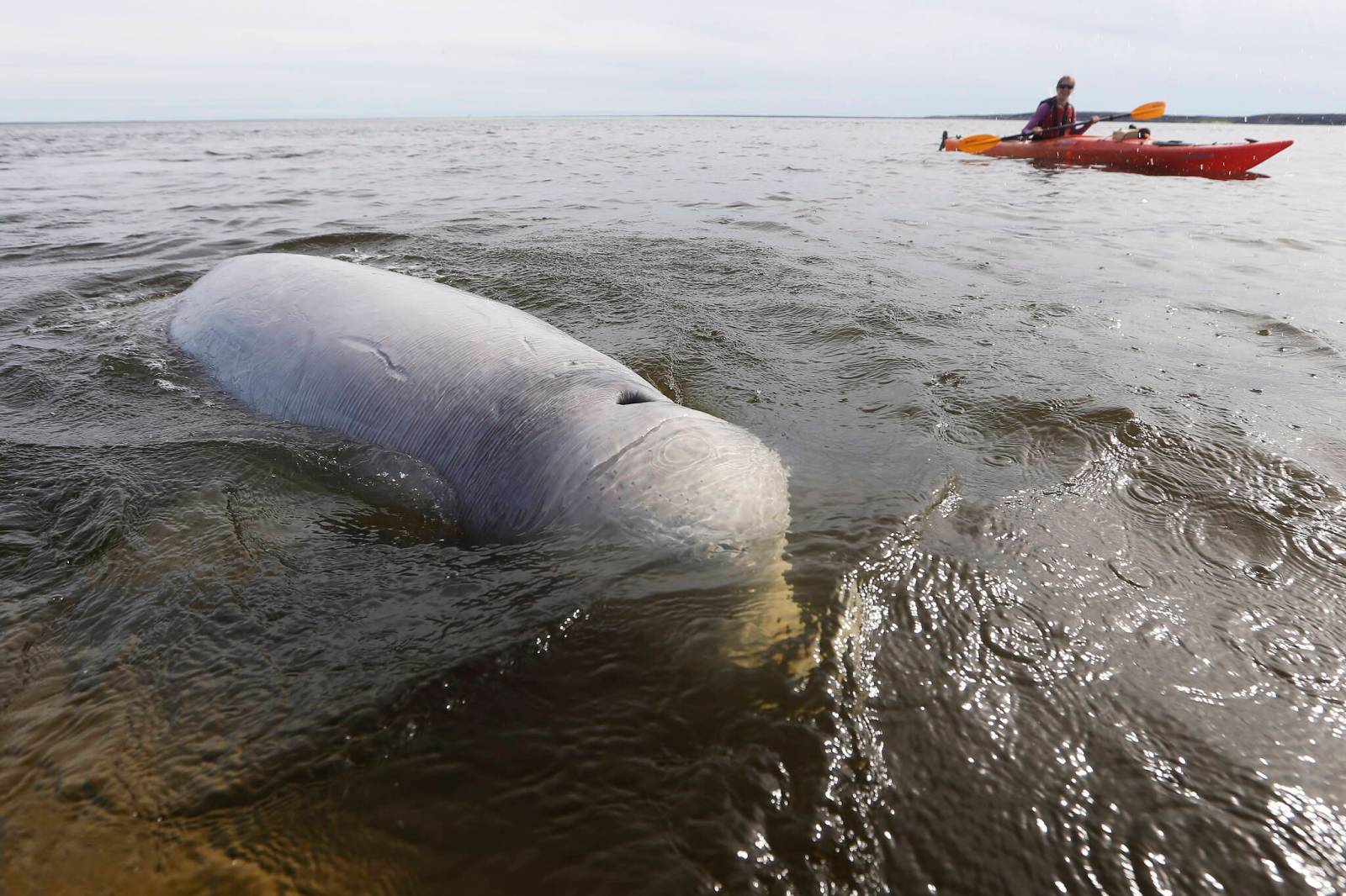 winnipegfreepress.com - Aaron Epp - Manitoba tourism reached new heights in 2025