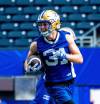 NIC ADAM / FREE PRESS FILES
                                Winnipeg Blue Bombers defensive back Evan Holm has been voted the club&rsquo;s Most Outstanding Defensive Player for a second year in a row.