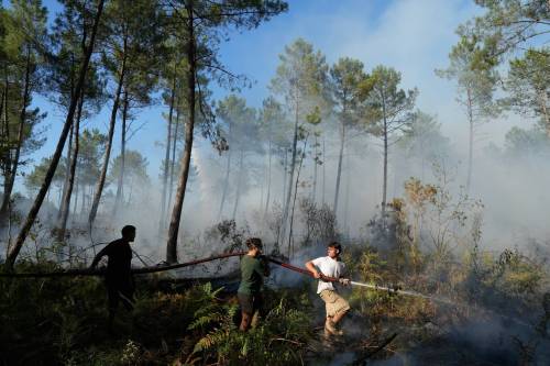 Baz Ratner / The Associated Press files
                                A group try to suppress a fire near Lacanau, outside Bordeaux, France, in July.