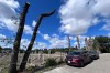 A row of mature trees, cut down as part of a luxury housing development on Winnipeg's Wellington Crescent, are seen Tuesday, Sept. 13, 2026. The city says it has no jurisdiction over trees on private property. THE CANADIAN PRESS/Ian Bickis