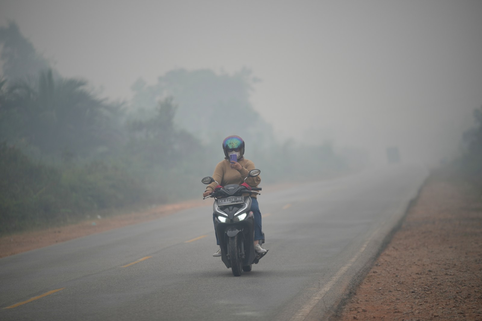 Wildfires in Indonesia’s Borneo threaten orangutans, rescuers treat injured ape