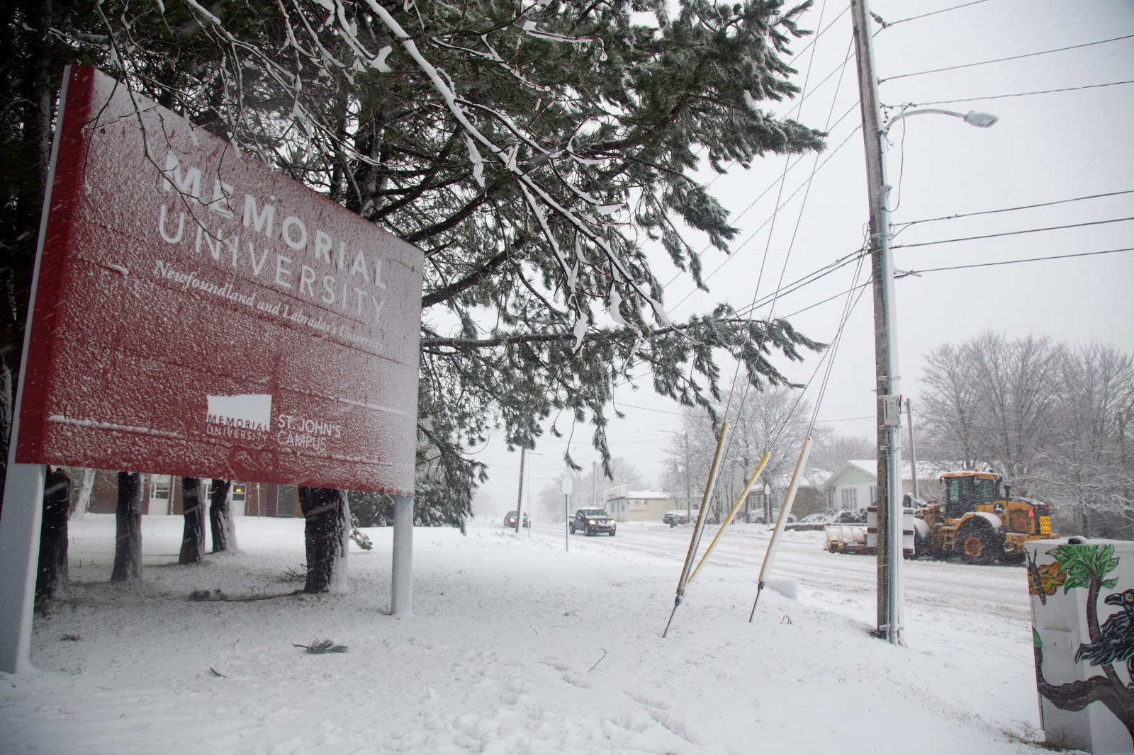 Memorial University staff assaulted on campus