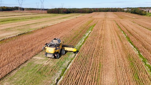 An agricultural worker harvests soja in Lévis, Que., in september 2024. THE CANADIAN PRESS/Jacques Boissinot