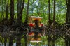 A shrine stands within a dense mangrove forest in Can Gio, Vietnam, Sunday, March 1, 2026. (AP Photo/Aniruddha Ghosal)