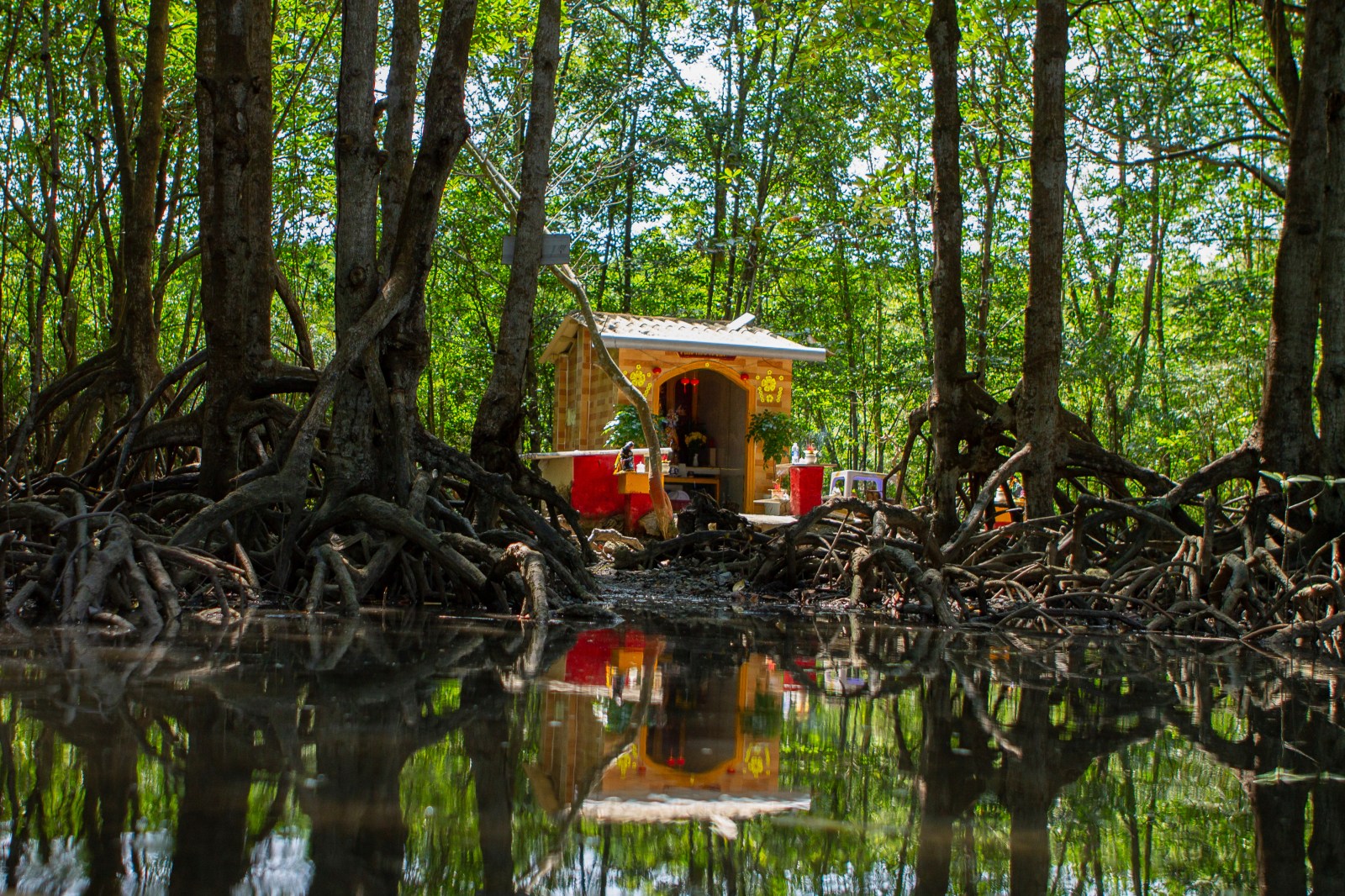 winnipegfreepress.com - Aniruddha Ghosal, The Associated Press - Coastal construction projects threaten the mangrove forest that protects Vietnam's biggest city
