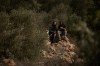 Israeli settlers sit in an olive grove as members of Israeli forces block a road preventing Palestinians from harvesting olives in the West Bank town of Turmus Ayya, Wednesday, Oct. 21, 2026. (AP Photo/Leo Correa)